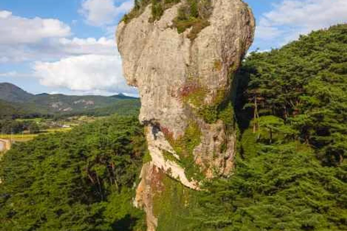 상하농원 - 고창여행 여행