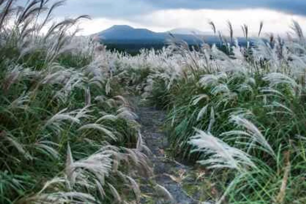 아라고나이트 고온천 - 제주 여행