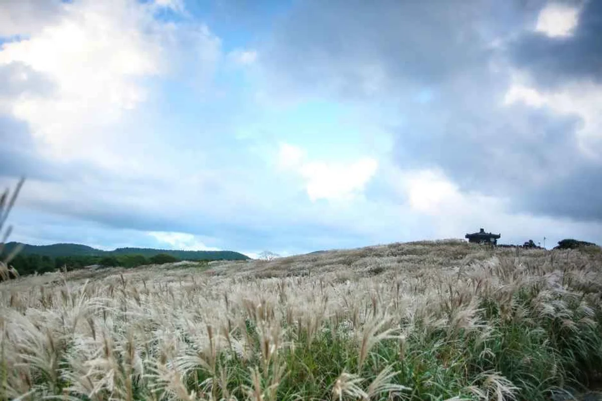제주플래티늄카라반 - 제주여행 여행