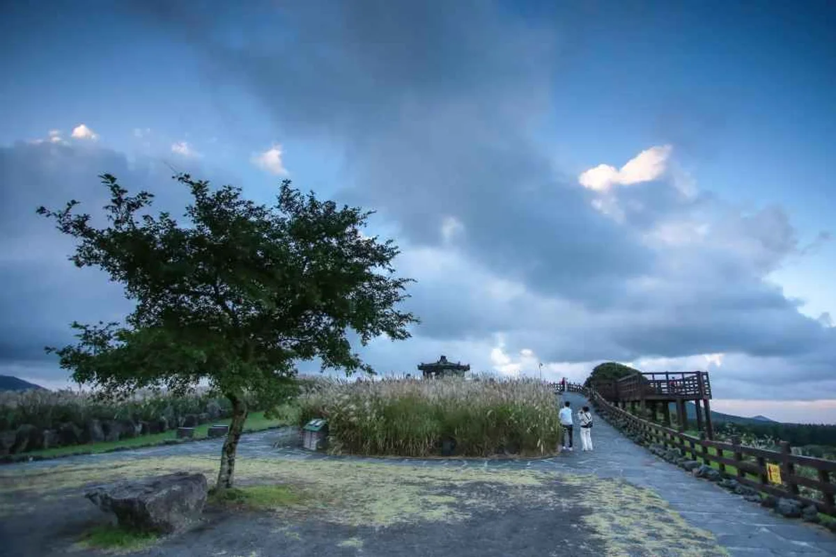 워터월드 제주 - 제주 여행