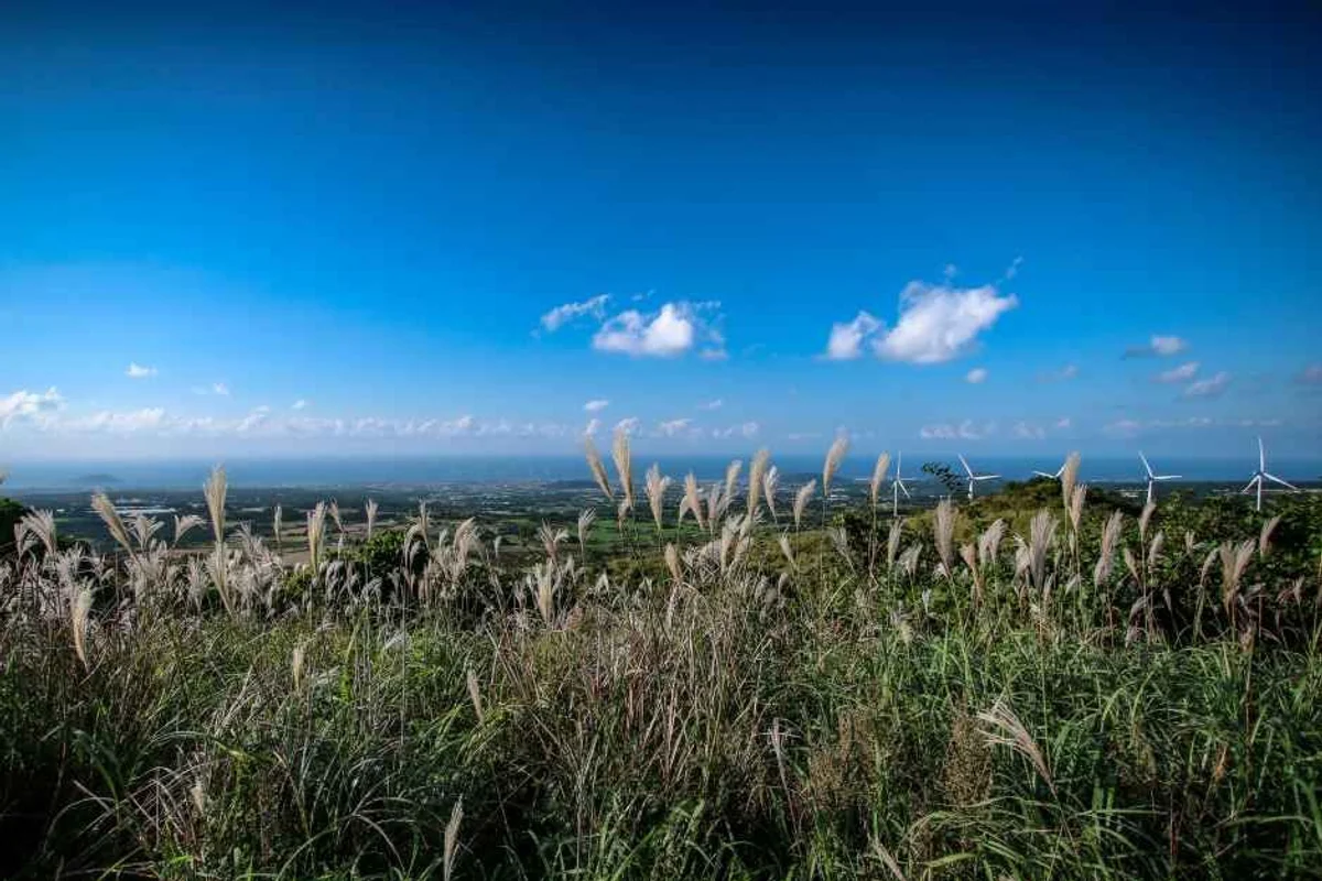 새별오름 - 애월 여행