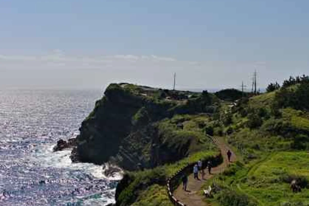 울산대공원 - 울산대공원 여행