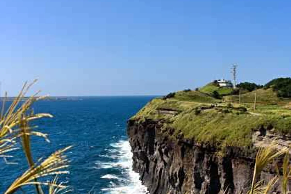 울산대공원 둘레길 핵심: 솔마루길 울산대공원 구간 - 울산대공원 여행