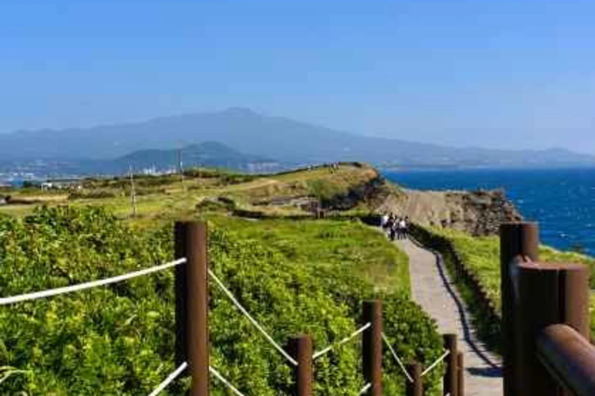 월악산 닷돈재 풀옵션야영장 - 수안보 여행