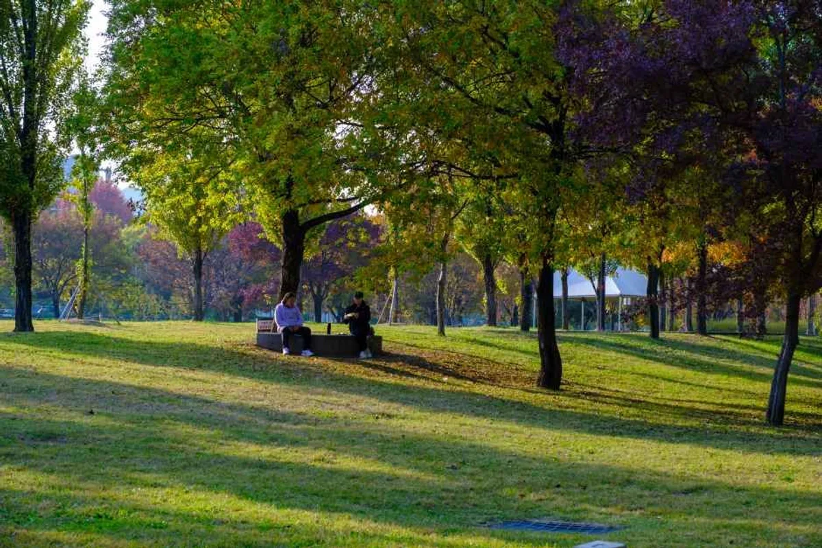 한강공원 - 서울여행 여행