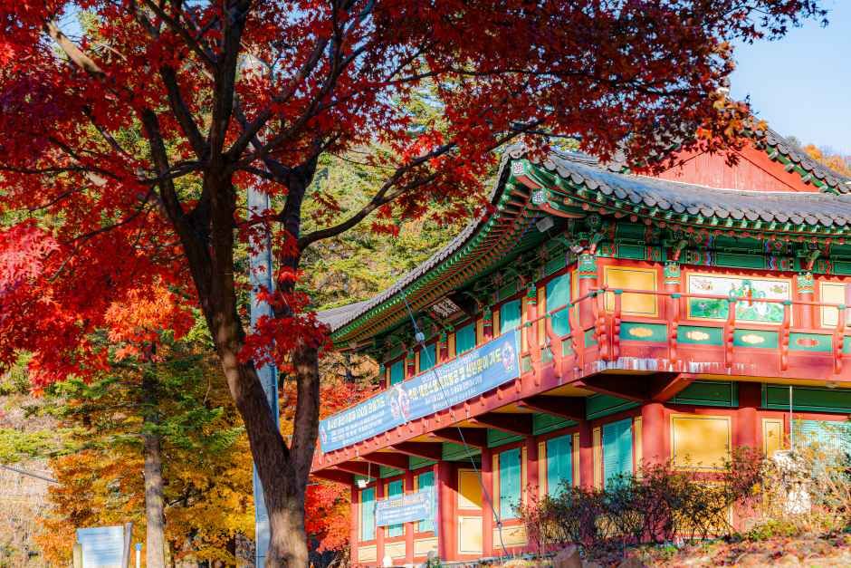경기 인스타 명소 (출처 : 한국관광공사)