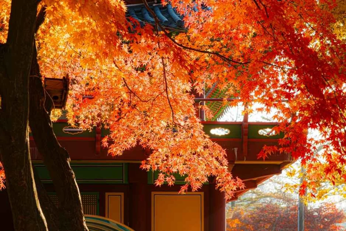 사패산 - 양주여행 여행