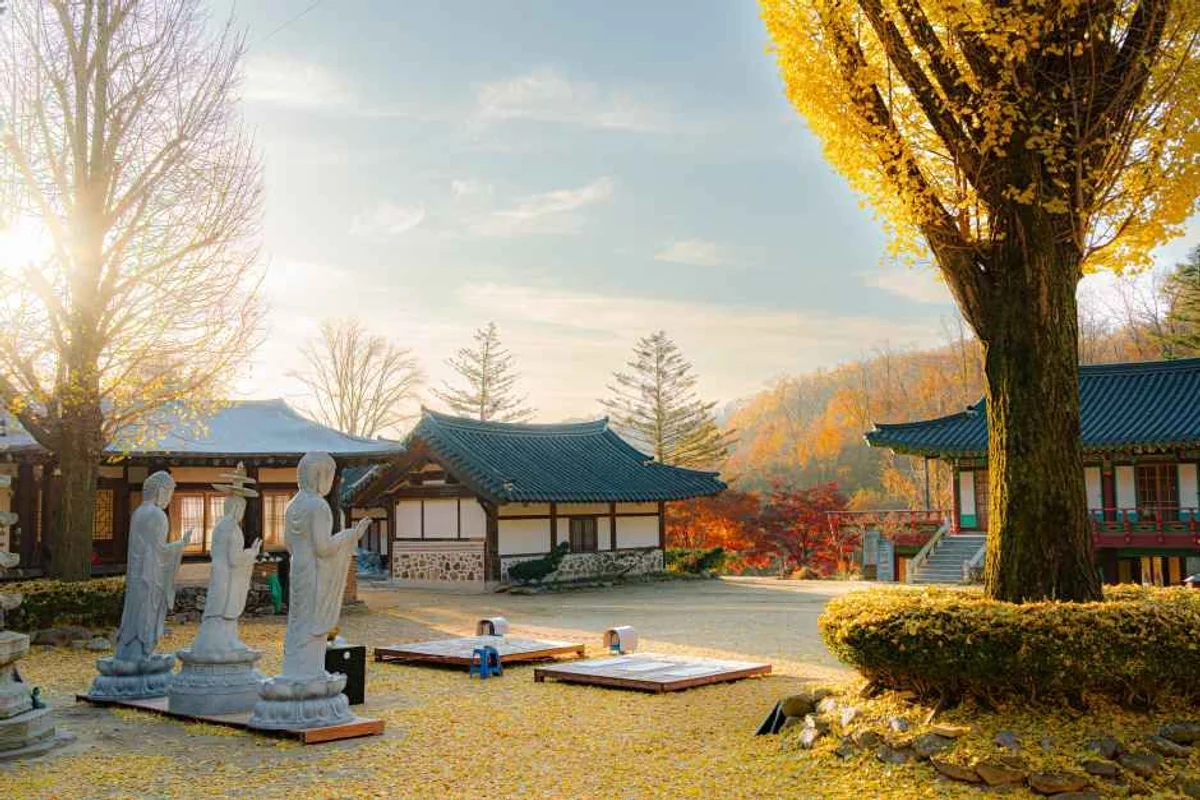 국립현대미술관 과천 - 경기도여행 여행