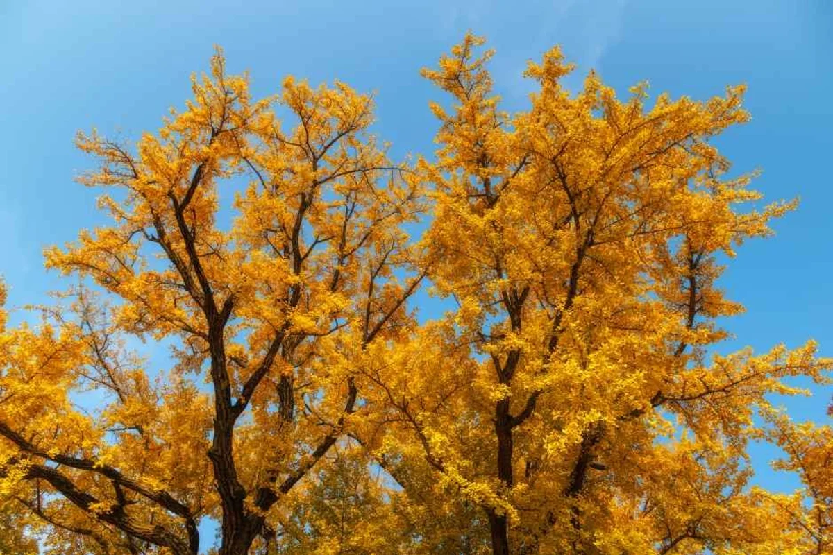 울산대공원 - 울산대공원 여행