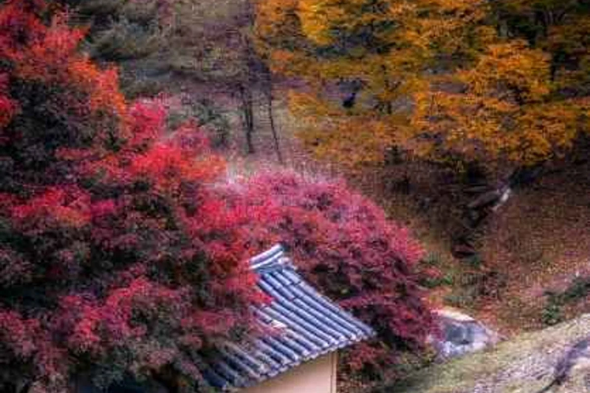 장군봉: 금강의 비경을 품은 세종 등산 코스 - 세종등산 여행