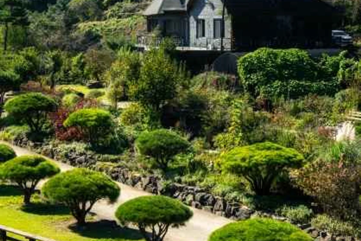 옥천묘목공원 - 옥천여행 여행