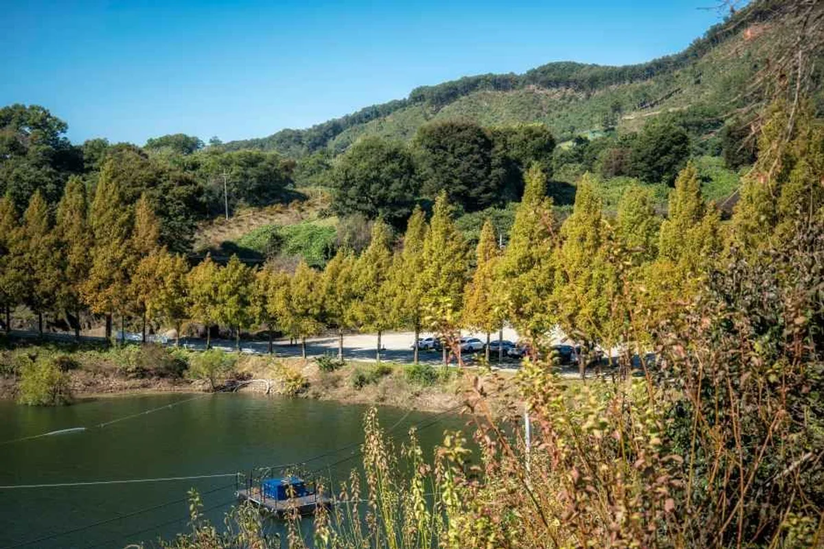 대청호 당일치기: 금강로하스대청공원 - 대청호 여행