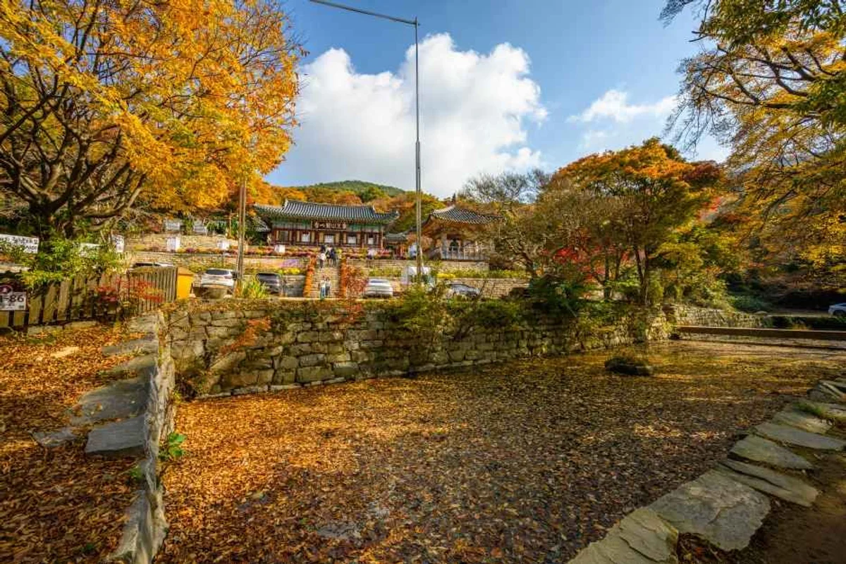 서산 야경 산책 (출처 : 한국관광공사)