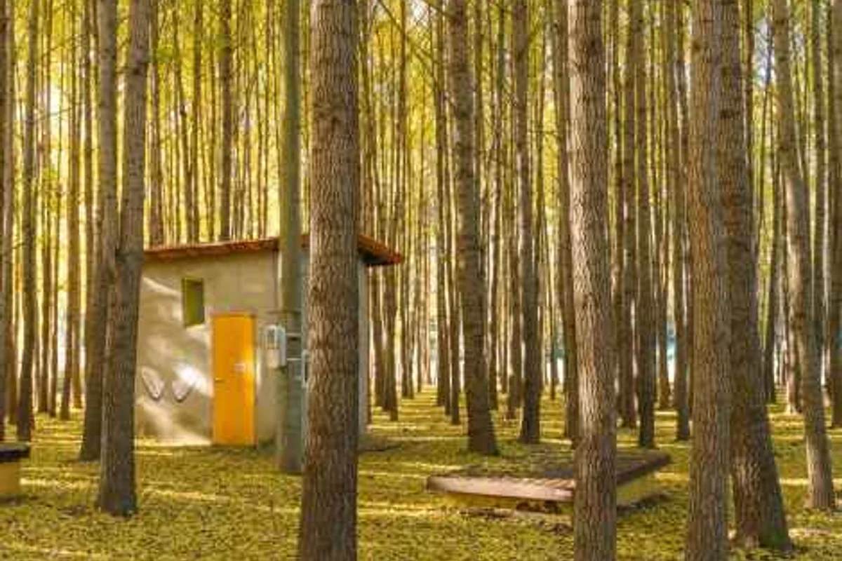 경주루지월드 - 경주여행 여행