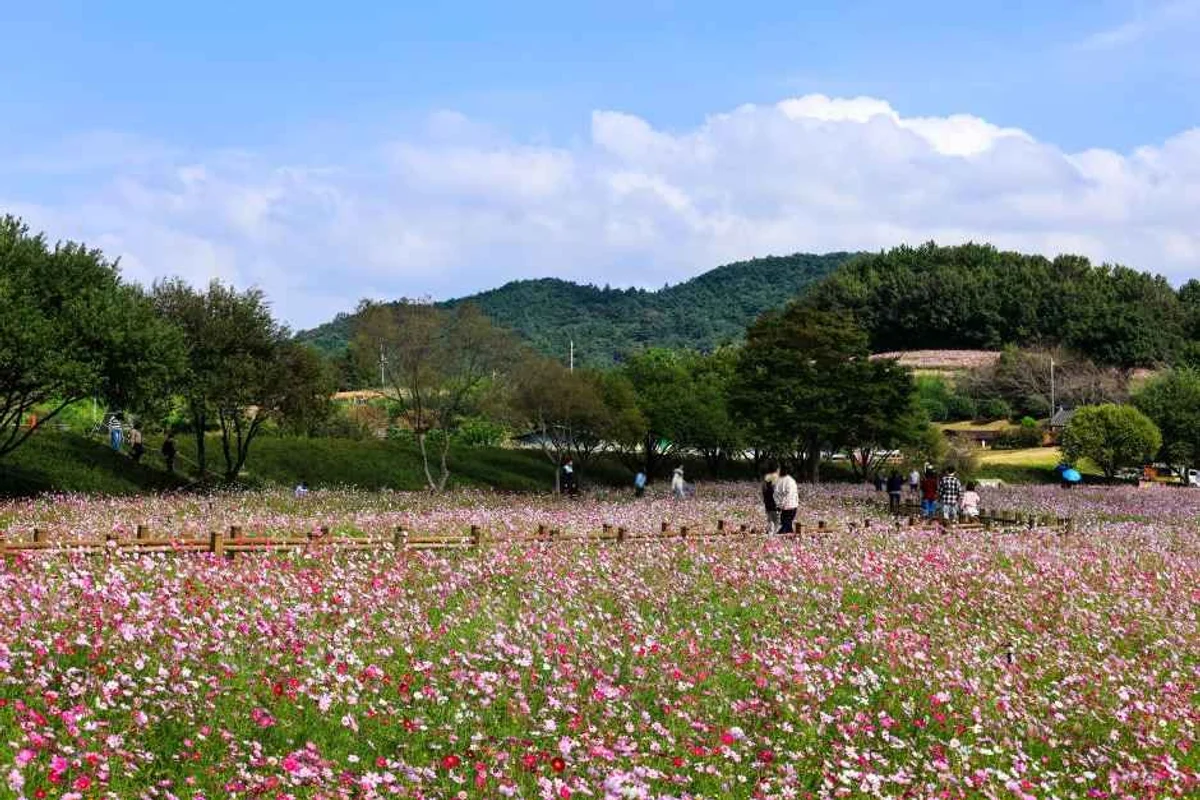못난이미술관 - 무안여행 여행