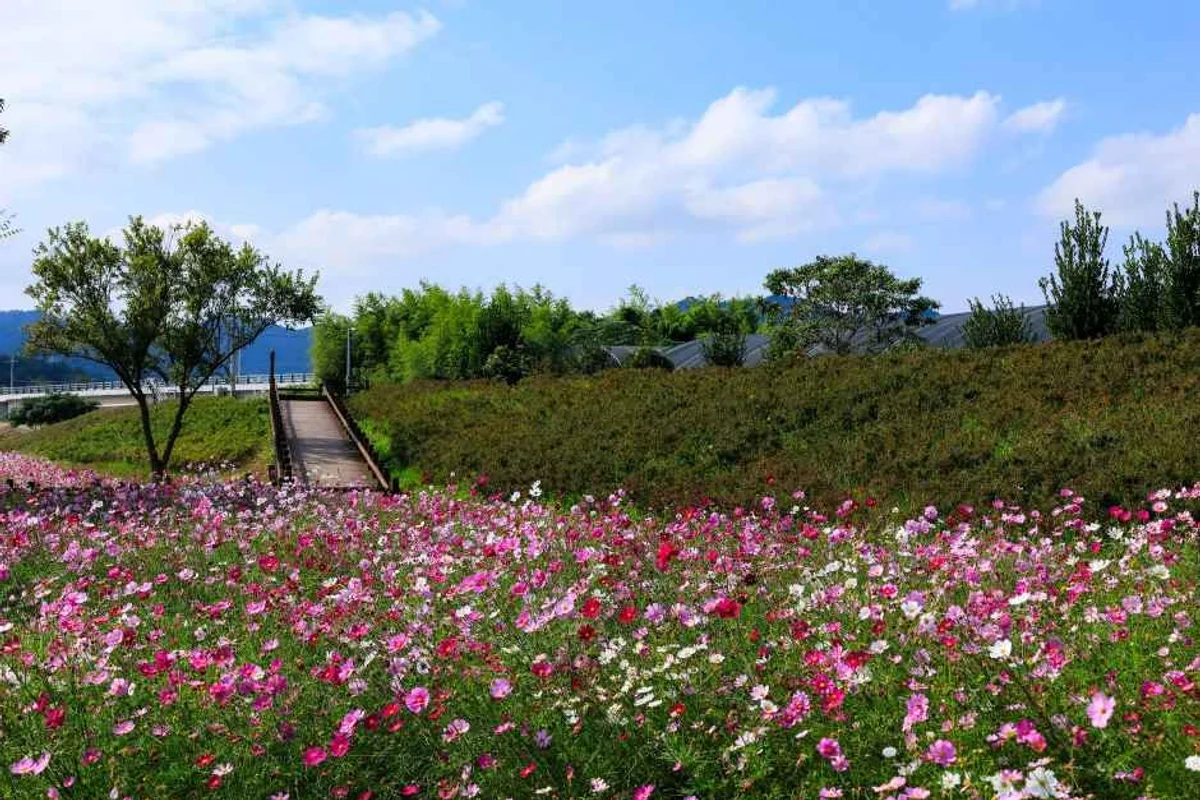 남악중앙공원 - 무안여행 여행