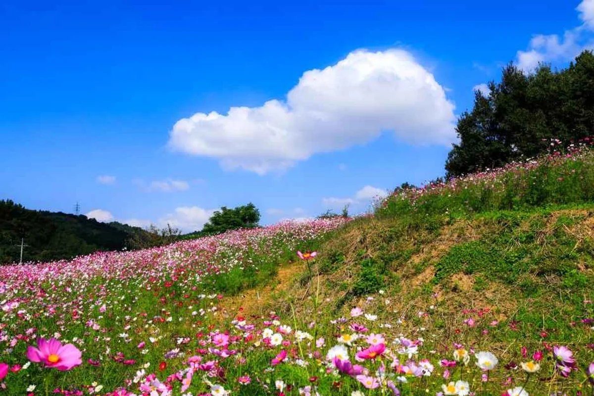 초의선사 탄생지 - 무안여행 여행