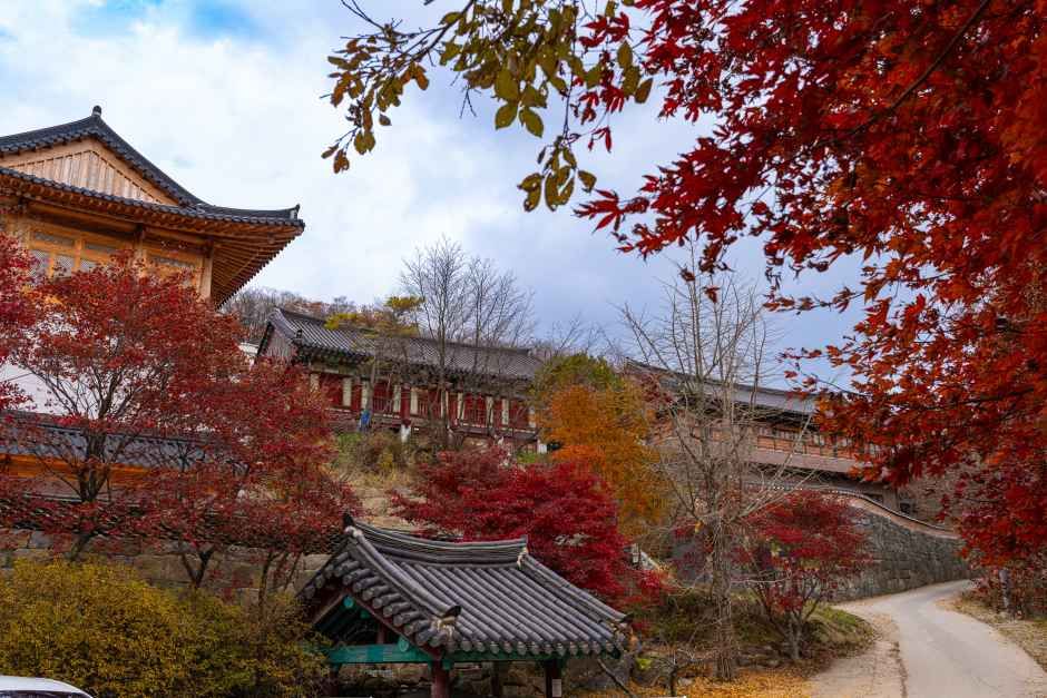 무주군 일몰 명소 (출처 : 한국관광공사)