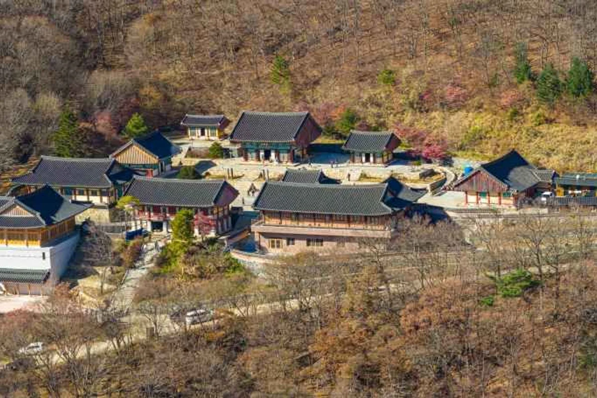 무주반디랜드 - 무주여행 여행