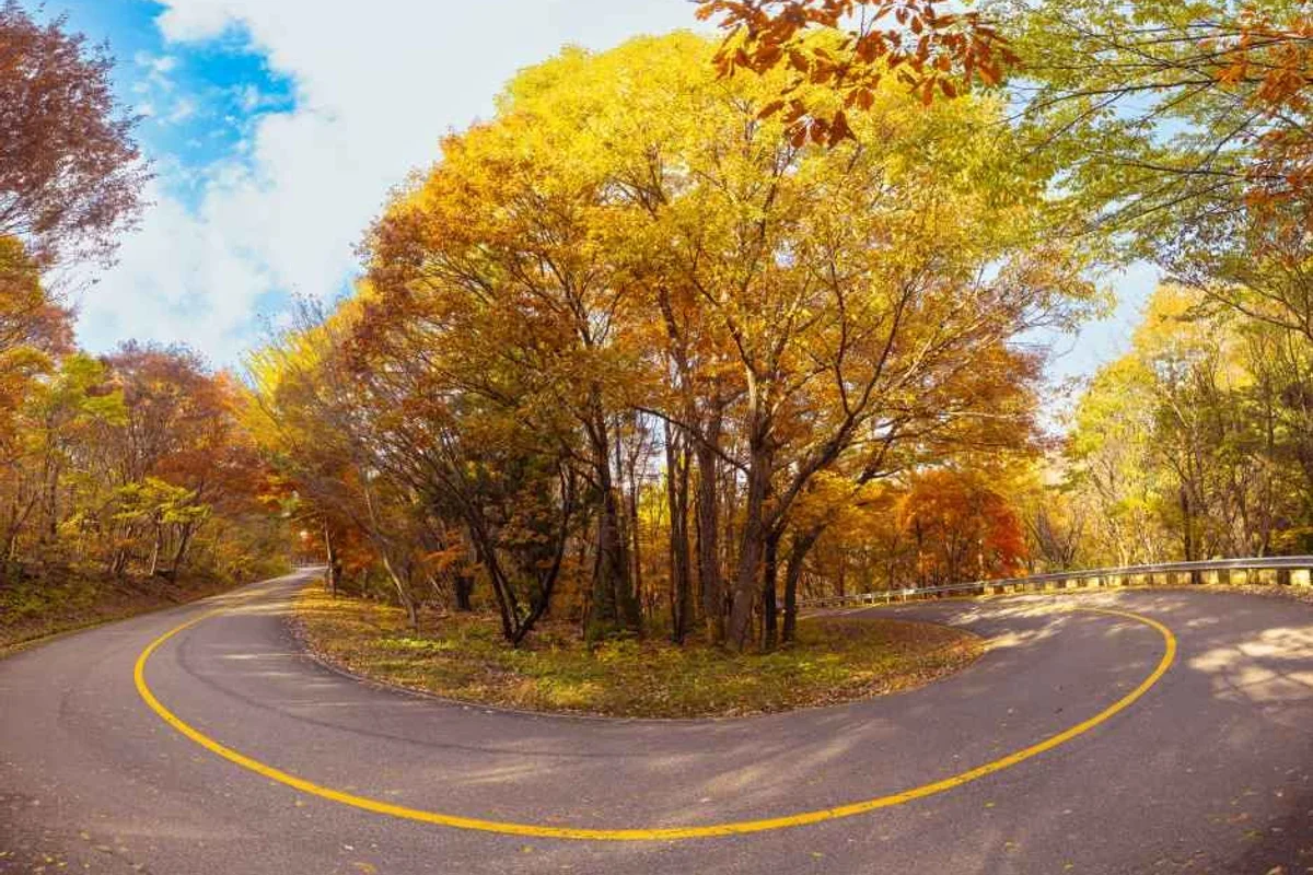 협동조합별별바람 - 죽변항 여행