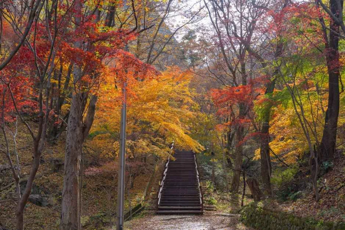전북 산책로 (출처 : 한국관광공사)