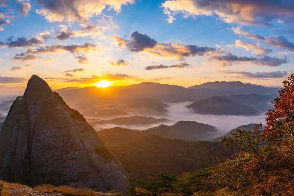 군포 일출 명소: 초막골생태공원 - 군포여행 여행