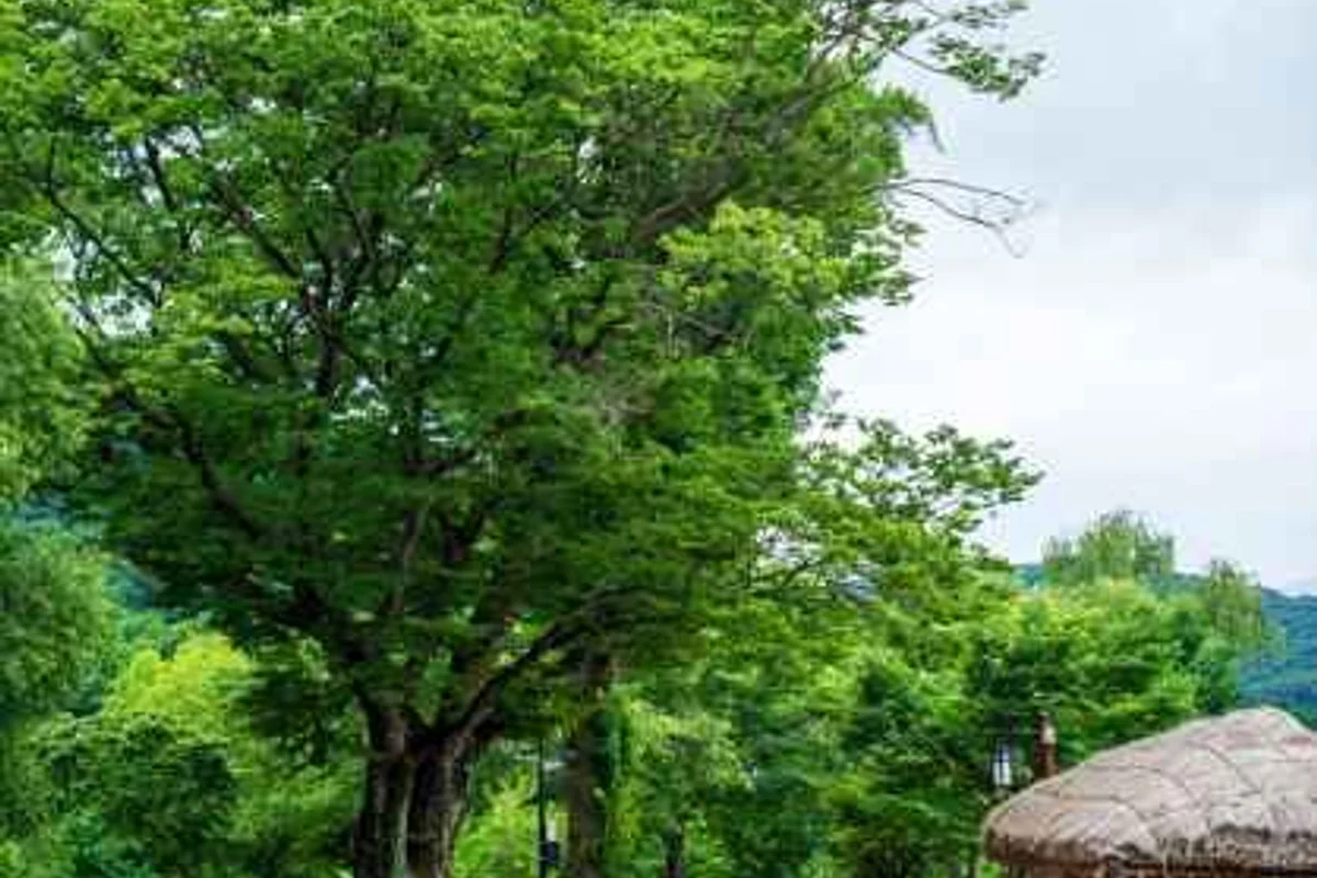 외암민속마을 글램핑 (출처 : 한국관광공사)