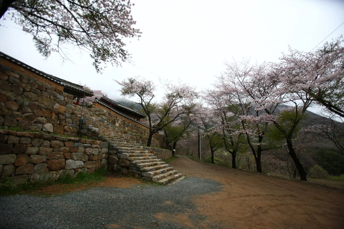 지장사 - 양주여행 여행
