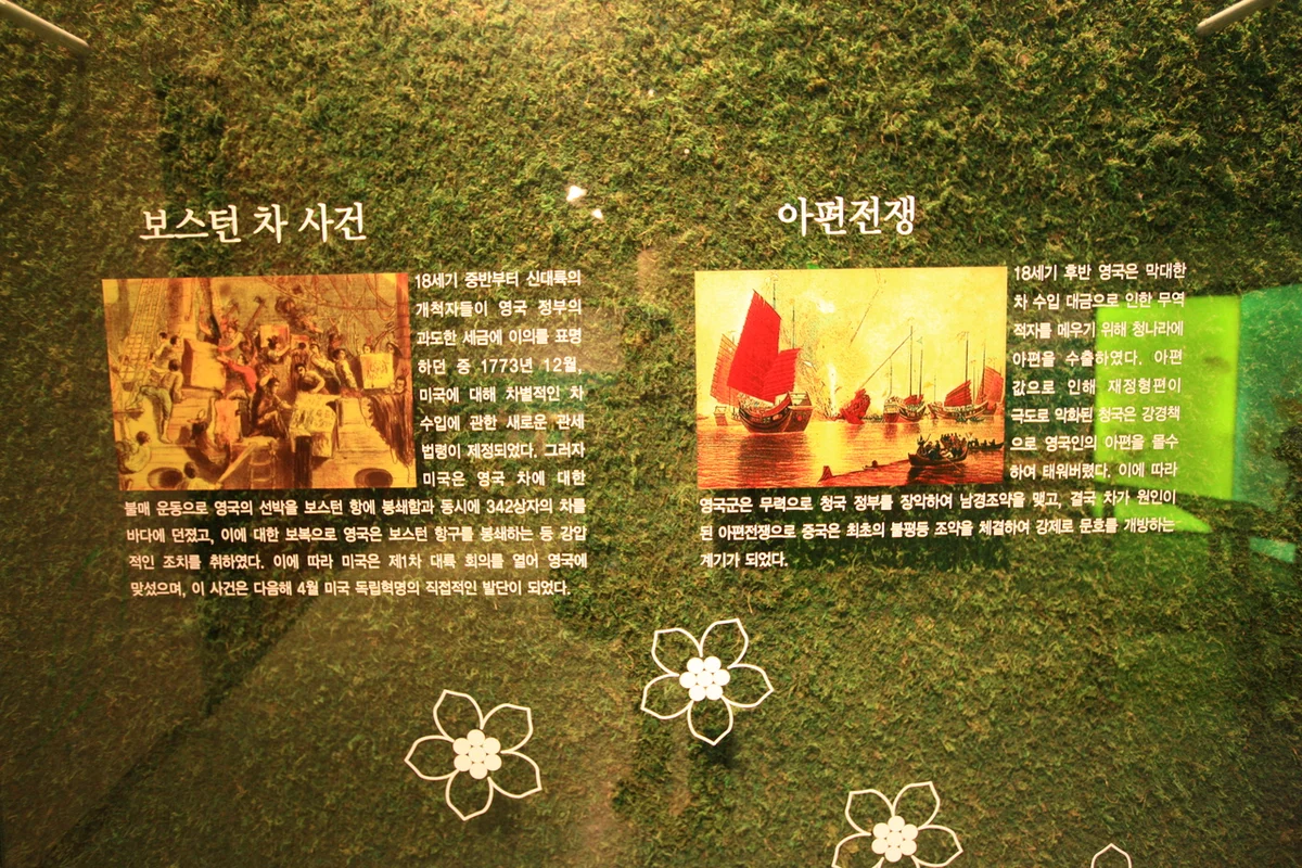 한국차박물관 - 보성여행 여행