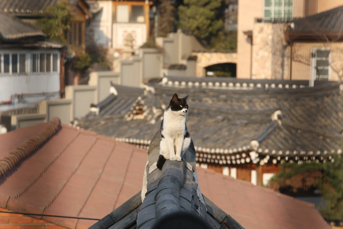 전통주갤러리 - 삼청동여행 여행