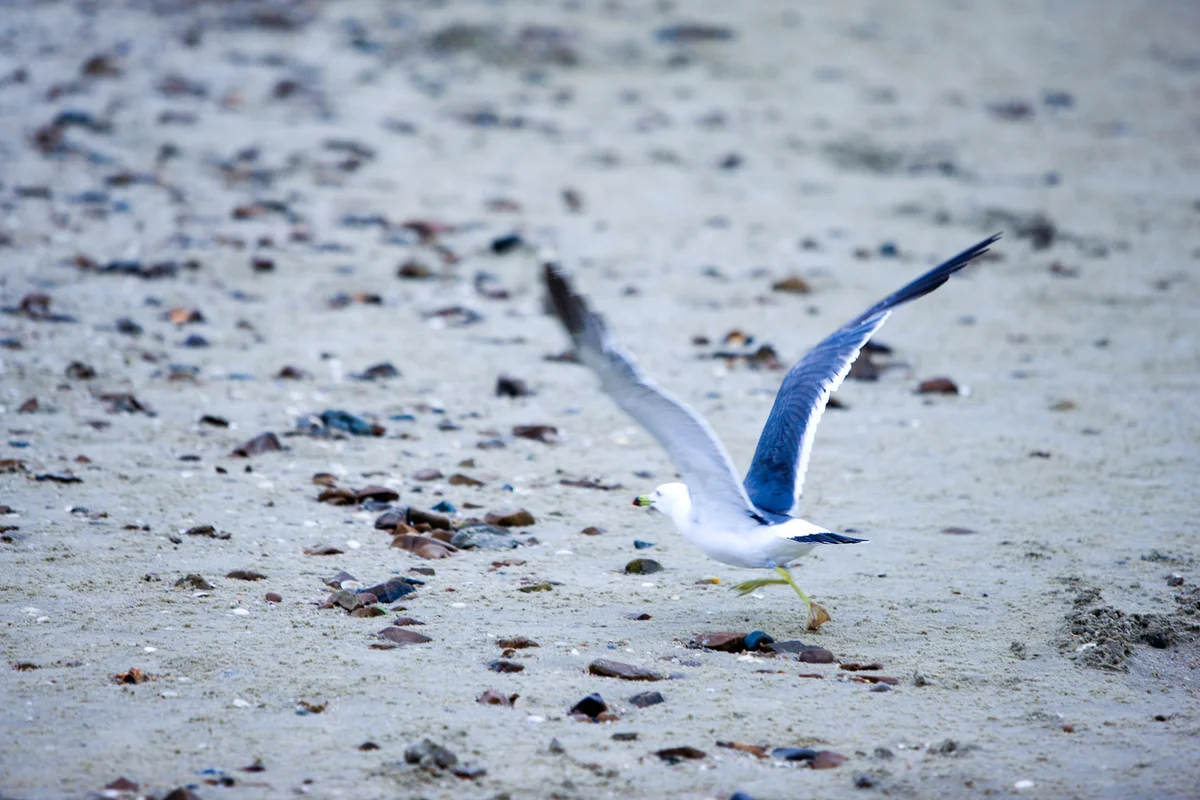 안면도 호텔 추천: 나에게 맞는 숙소는? - 안면도여행 여행