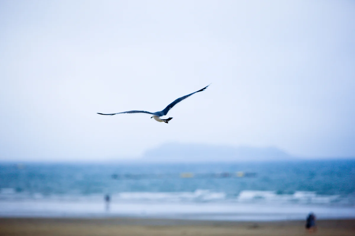 가든글램핑캠핑장 - 태안캠핑 여행