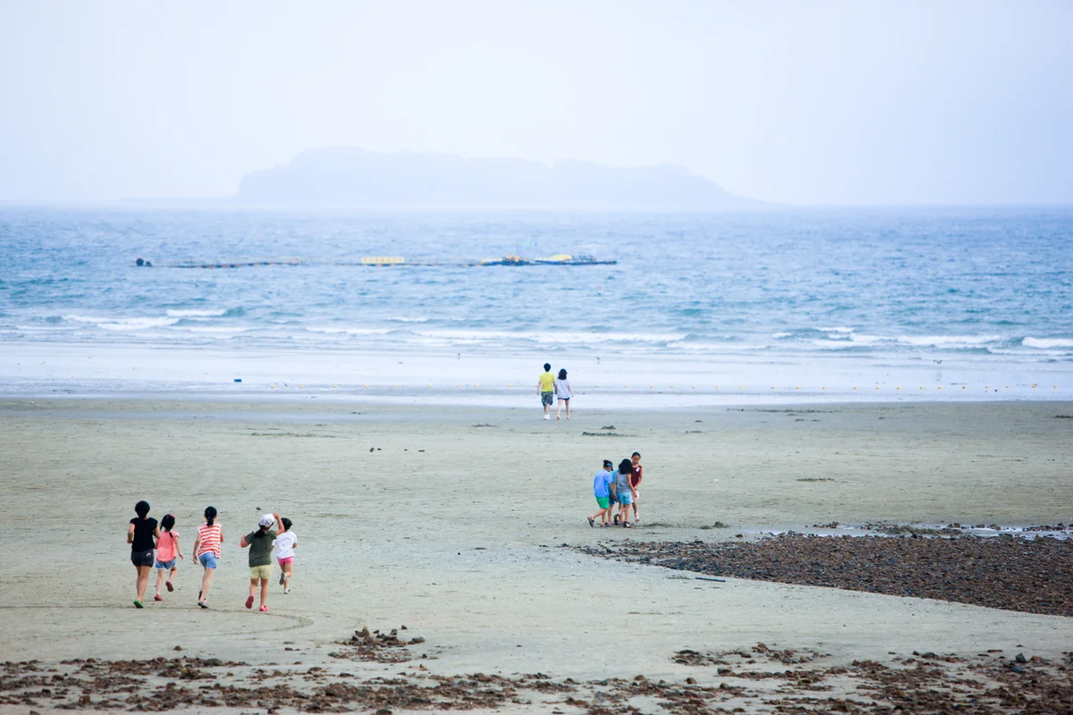 안면도 쥬라기 박물관 - 안면도여행 여행