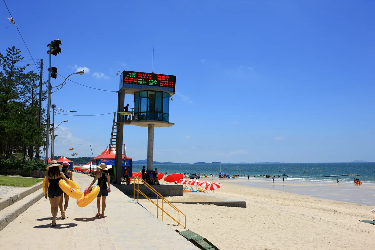 충남 밤바다 명소, 2026년 봄 여행지 추천 - 충남여행 여행