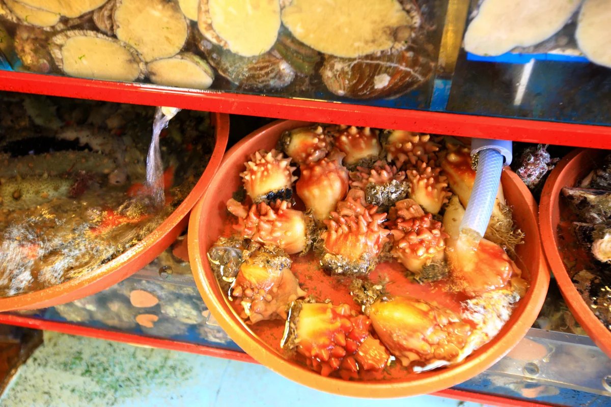 롯데백화점 광복점 - 자갈치 여행