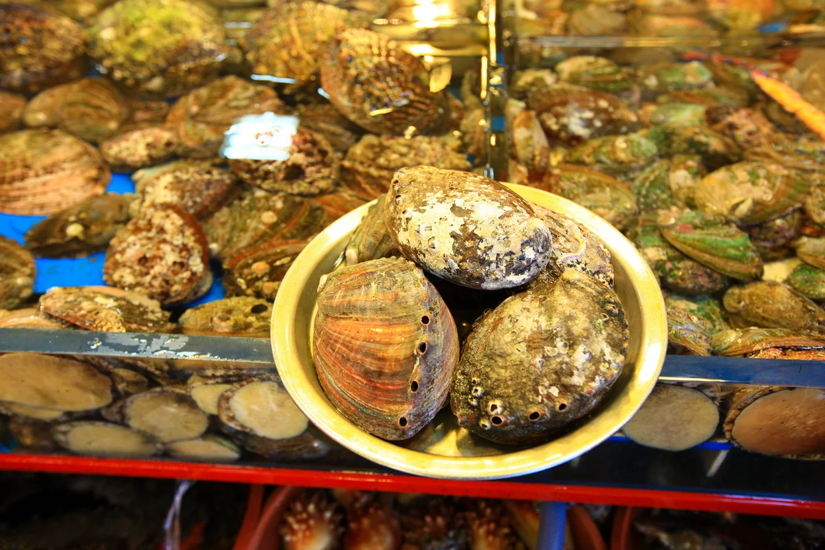 부산자갈치시장 - 자갈치 여행