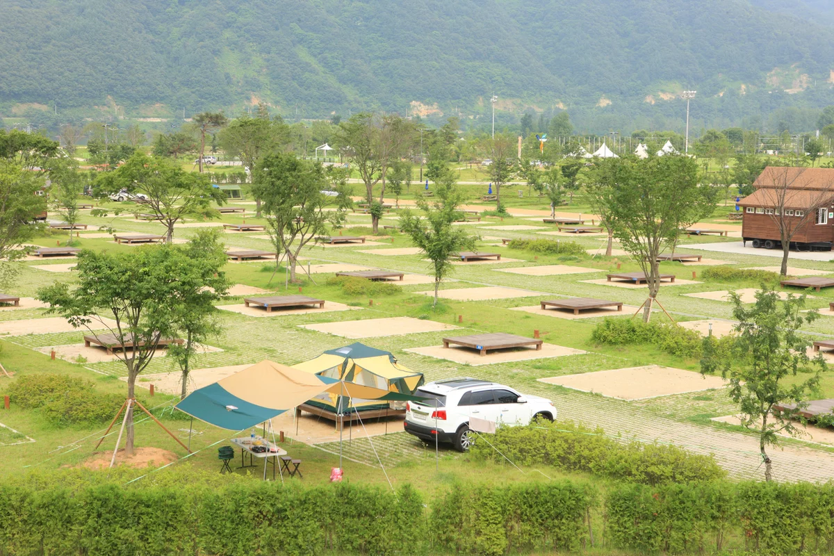 자라섬 캠핑장 - 자라섬 여행