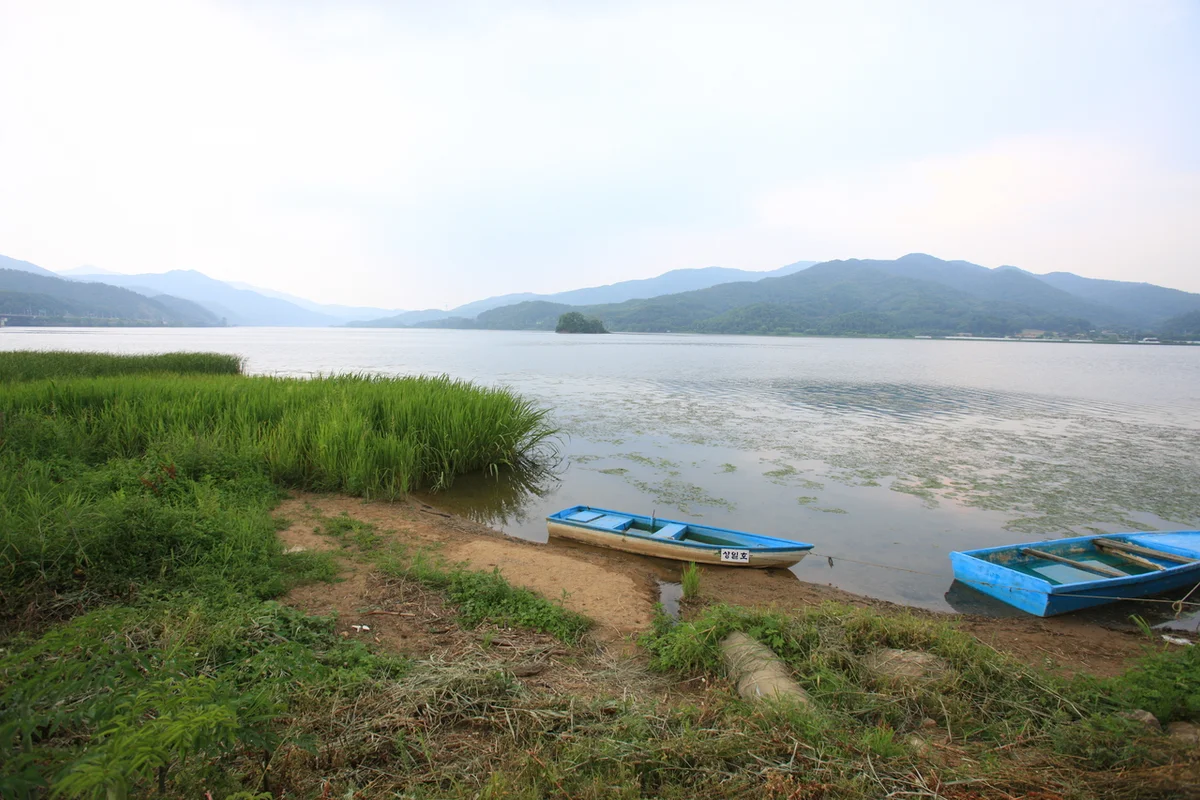 양수리딸기체험농장 - 양평여행 여행