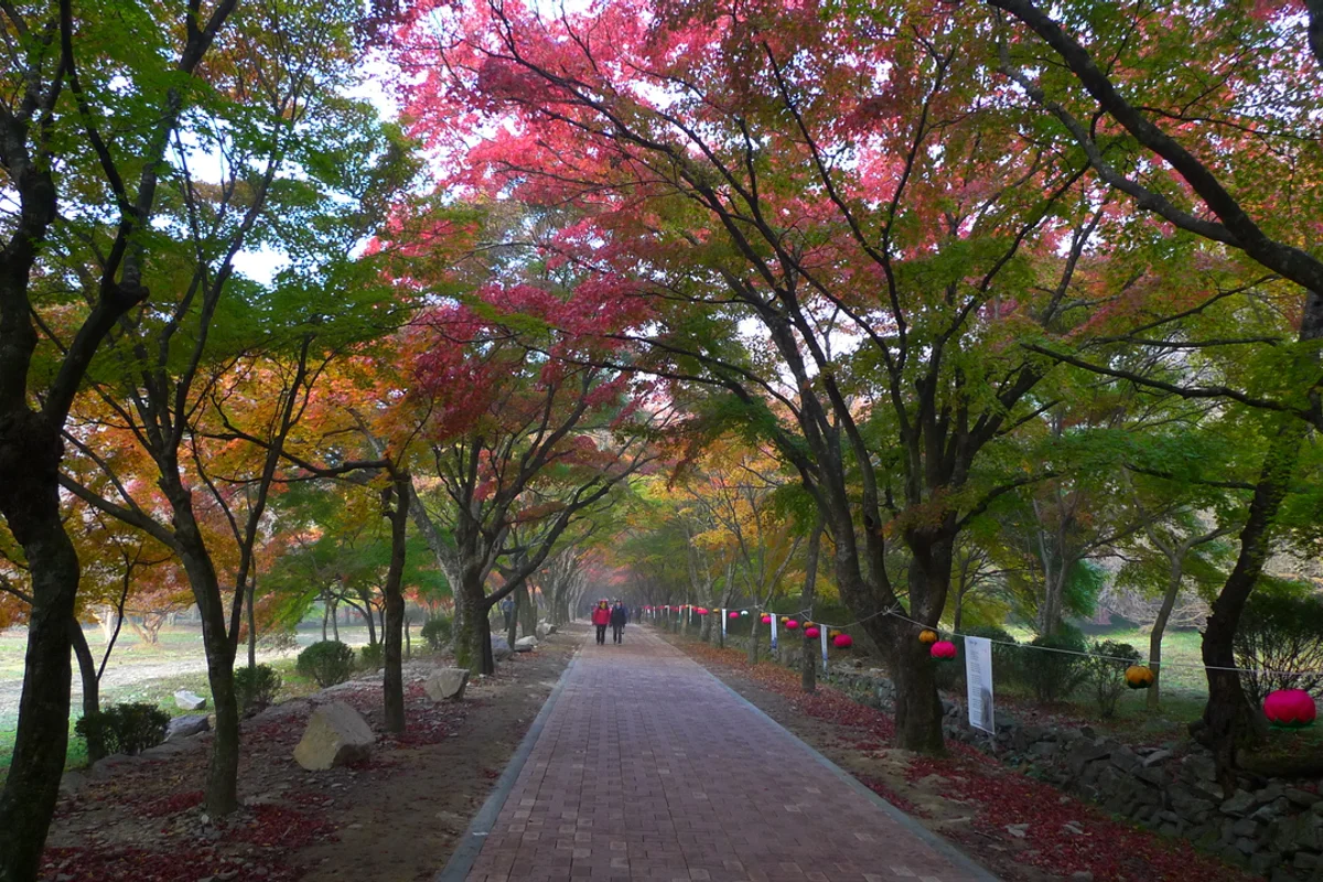 내장사 - 전북여행 여행