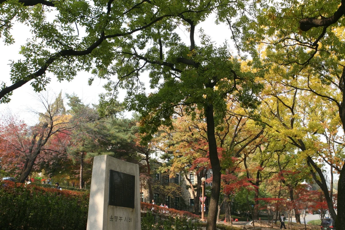 연세대학교 - 서대문여행 여행