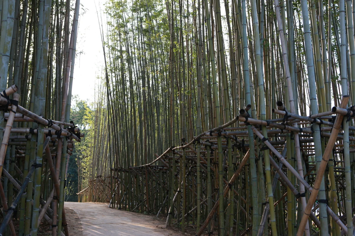 백제문화단지 - 백제문화단지 여행