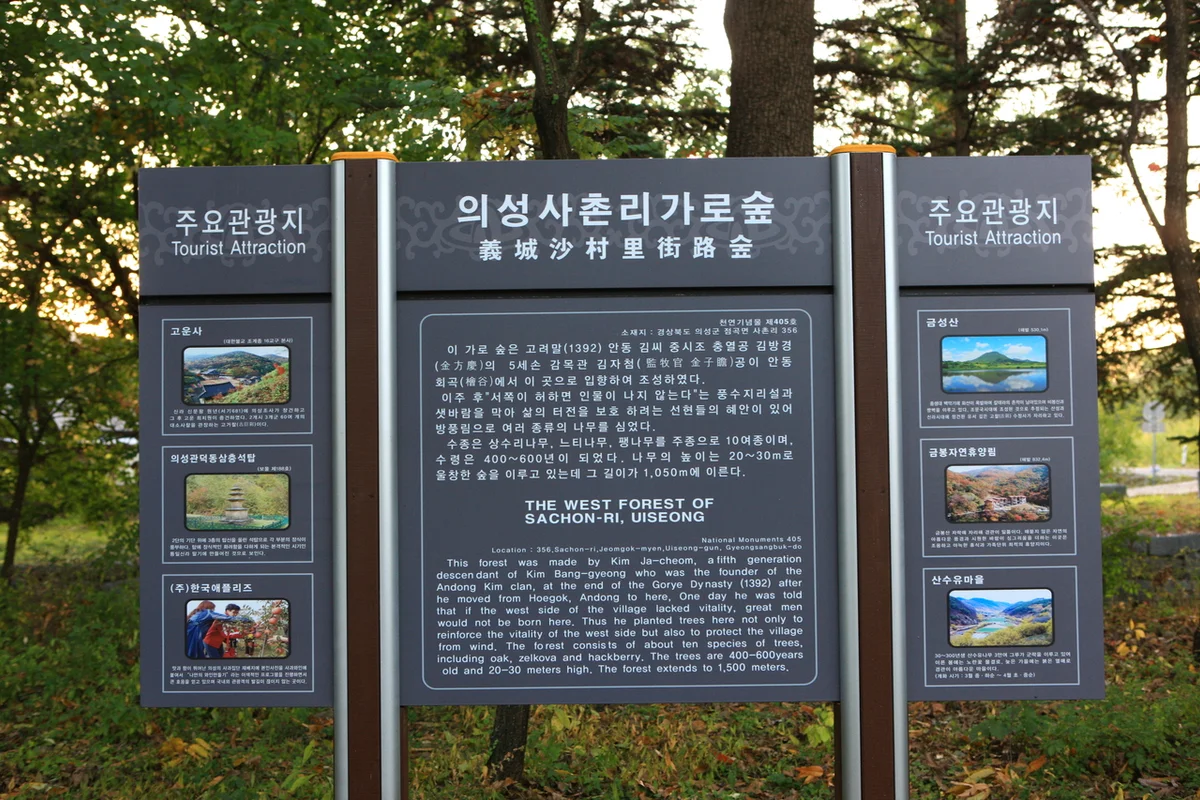 고운사 - 의성 여행