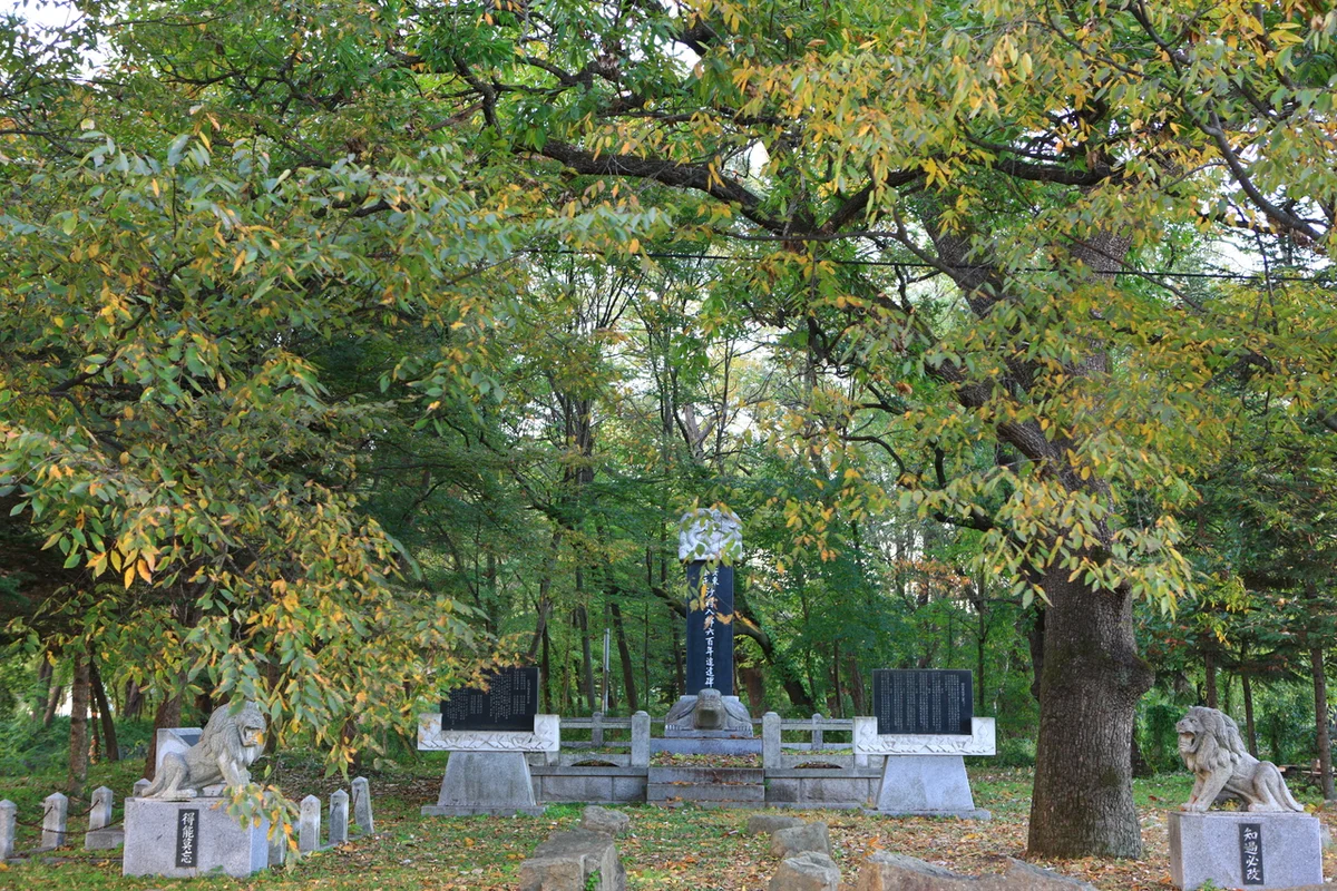 의성산수유꽃축제 - 의성 여행