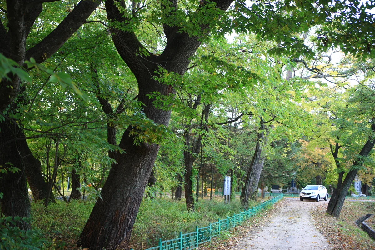 사촌전통마을 - 의성 여행