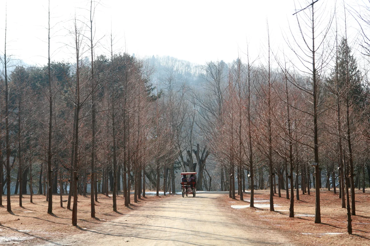 남이섬 - 남이섬 여행