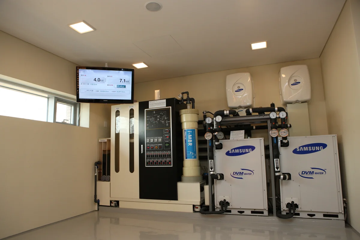 용인 자작나무숲 - 용인관광 여행