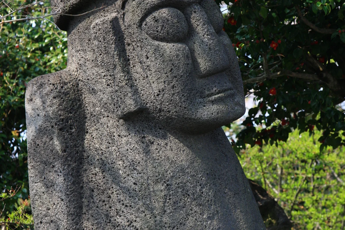 카멜리아힐 후기: 제주의 아름다운 동백과 수국 - 제주여행 여행