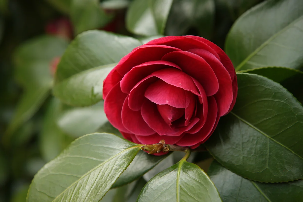 피규어뮤지엄제주 - 제주여행 여행