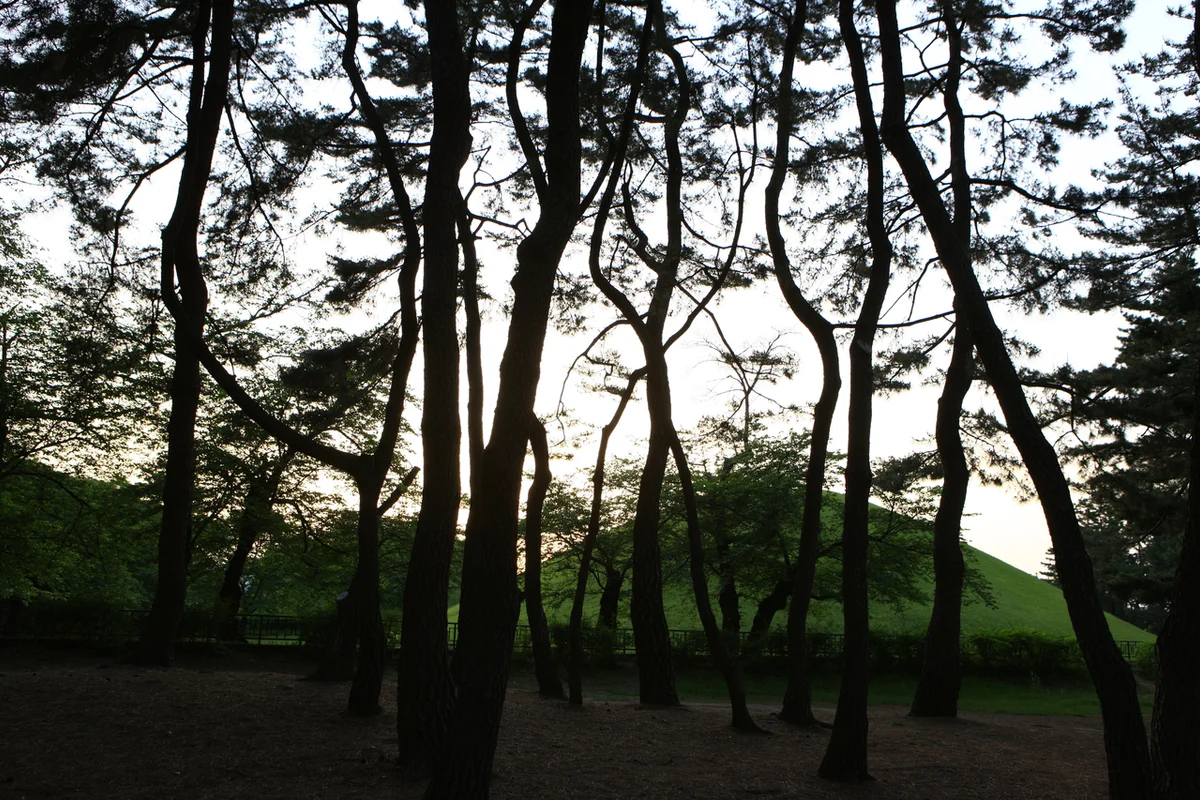 천마총 - 경주여행 여행