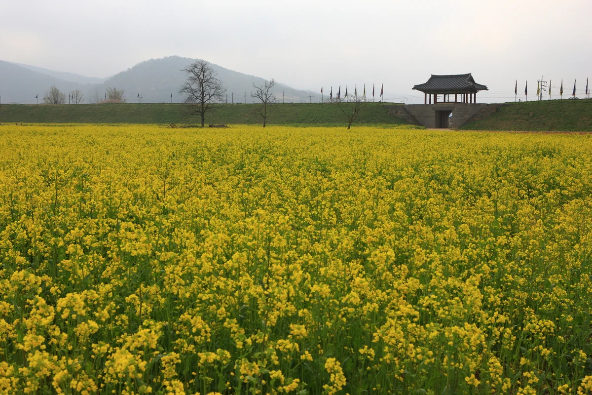 서산 해미읍성 - 서산 여행